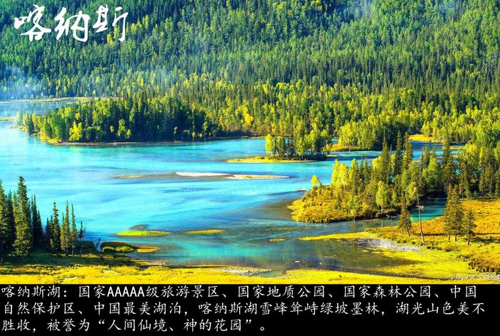 喀纳斯.jpg