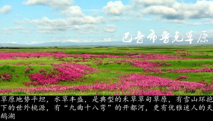 巴音布鲁克草原.jpg