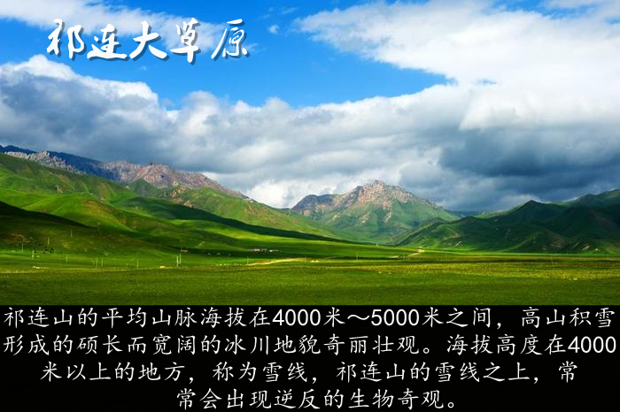 未名_副本.jpg