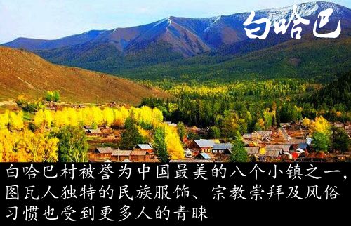 白巴哈.jpg