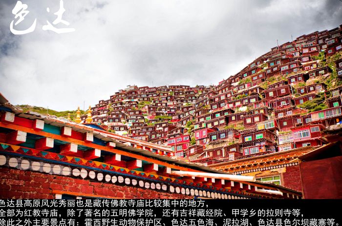 6630487223560299344_副本_副本.jpg
